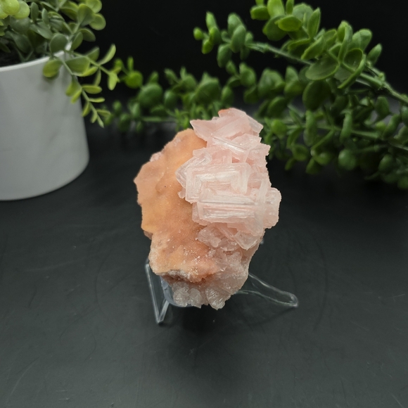 - Halite on Trona Ca - Picture 4 of 4